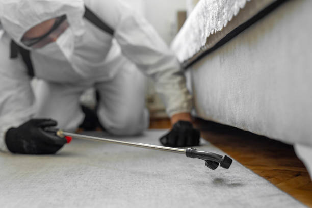 Professional Termite Control technician working in Bloomingdale, GA