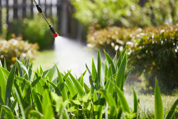 24/7 Emergency Termite Control experts in Bloomingdale, GA
