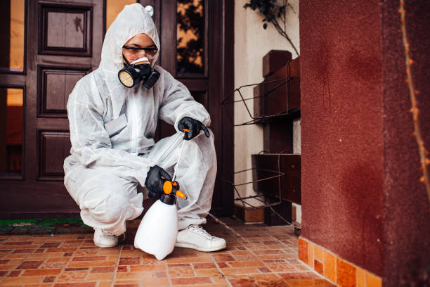 Reliable Termite Control contractor in Bloomingdale, GA by Nex Pest Control