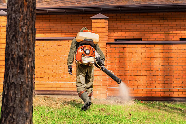 Trusted Bed Bug Control service in Bloomingdale, GA - Nex Pest Control